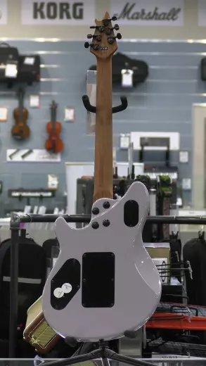 EVH - Wolfgang WG Standard QM 5